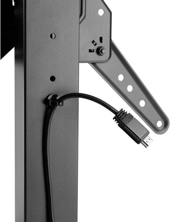 Actual product image SpeaKa Professional SP-TVS-150 (Universal, 55", 40 kg)
