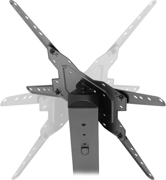 Actual product image SpeaKa Professional SP-TVS-150 (Universal, 55", 40 kg)