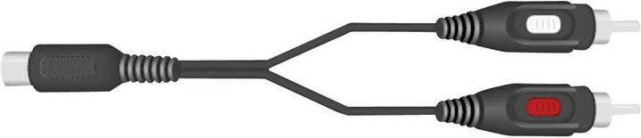 Immagine prodotto SpeaKa Professional Cavo adattatore per connessione Cinch/DIN 2xSpina Cinch Spina diodo 5pin (DIN) 1,5 m (1.50 m, Cinch)
