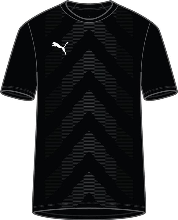 Puma teamGLORY Jersey Jr (140)