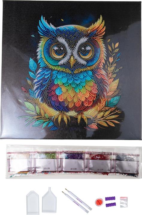 Image du produit Craft Buddy Hibou, 30x30cm Crystal Art Kit