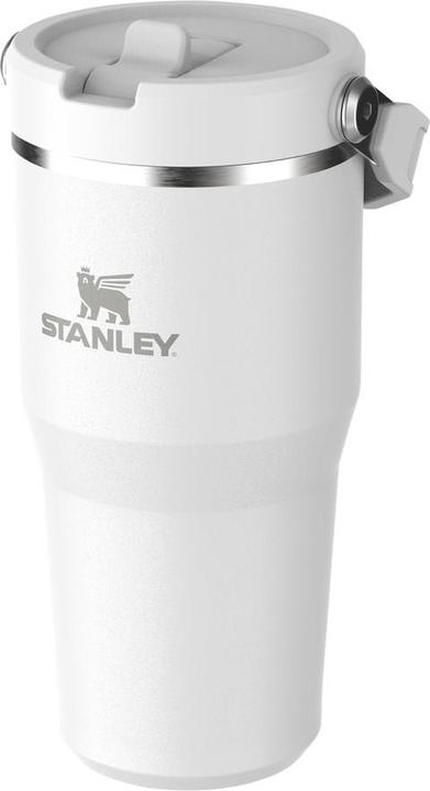 Immagine prodotto Stanley IceFlow Flip Straw 2.0 Tumbler, 600 ml, Frost (0.60 l)
