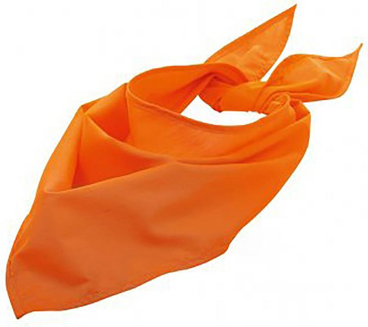 Image du produit Sols Foulard