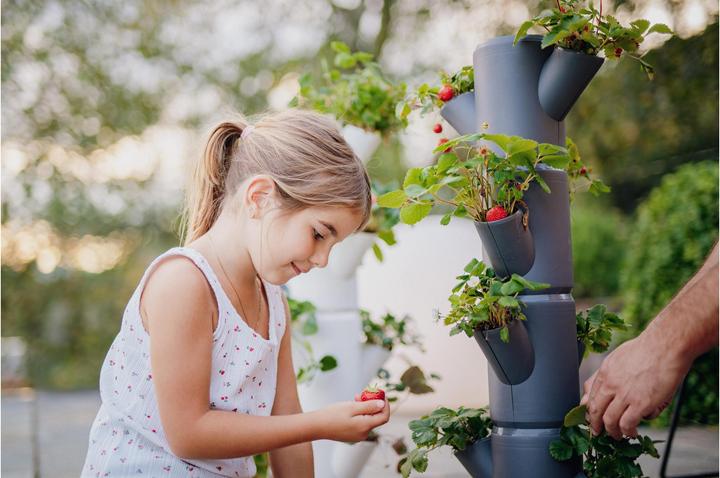 Immagine prodotto Gusta Garden Sissi Fragola (27 cm)