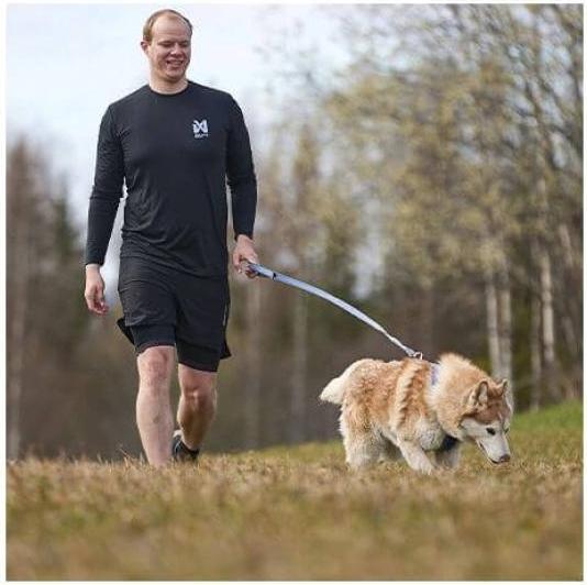 Actual product image Non-Stop Dogwear Move Leash Purple L (L, Dog, General, Work, Pushbike, Dog sport)