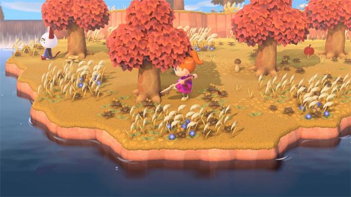 Image du produit Nintendo Animal Crossing : New Horizons (Switch, DE)
