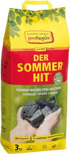 ProFagus Holzkohle Sommerhit 3 kg (3 kg)