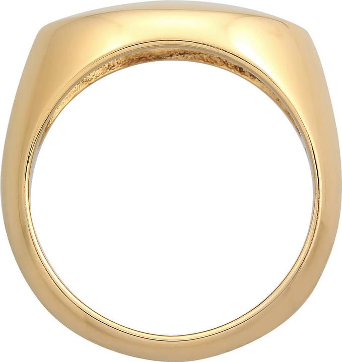 Produktbild Elli Siegelring (54, 925 Silber)