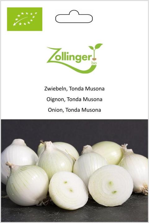 Actual product image Zollinger Bio Onions, Tonda Musona (Vegetable seeds)
