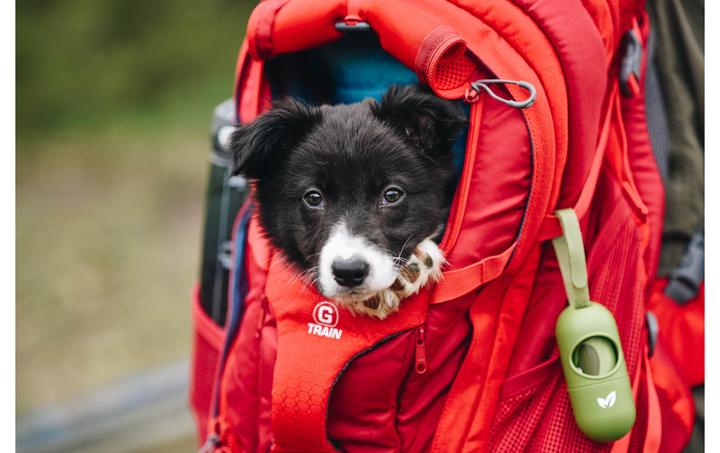 Produktbild Kurgo G-Train K9 (Hund, Sicherheitsverschluss)