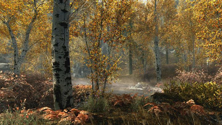 Immagine prodotto Microsoft The Elder Scrolls V: Skyrim - Edizione Anniversario (Xbox Series X, Xbox Serie S, Xbox One X, Xbox One S)