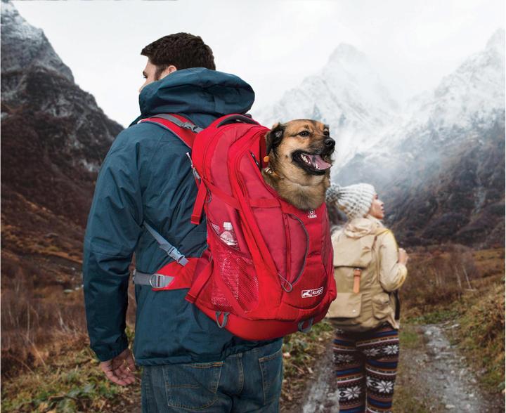 Produktbild Kurgo G-Train K9 (Hund, Sicherheitsverschluss)