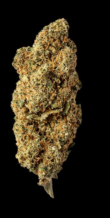 Produktbild Green Passion Fruit Punch (5 g, Glashaus)