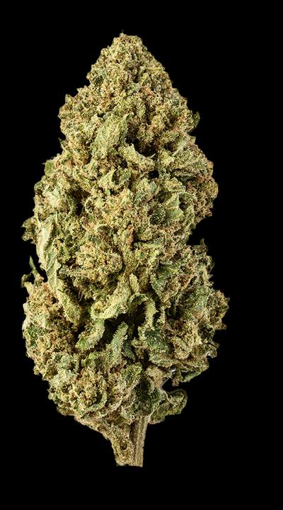 Immagine prodotto Green Passion Maui Wowy (10 g, Interno)