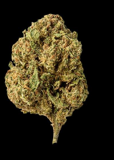 Actual product image Green Passion Maui Wowy Popcorn (10 g, Indoor)