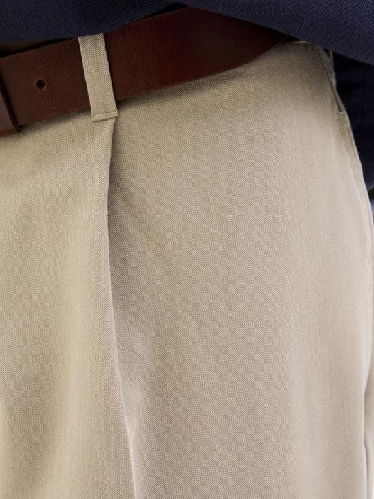 Actual product image Jack & Jones Jprcckarl Jjcameron Pleated Chino Pants (W32/L32)