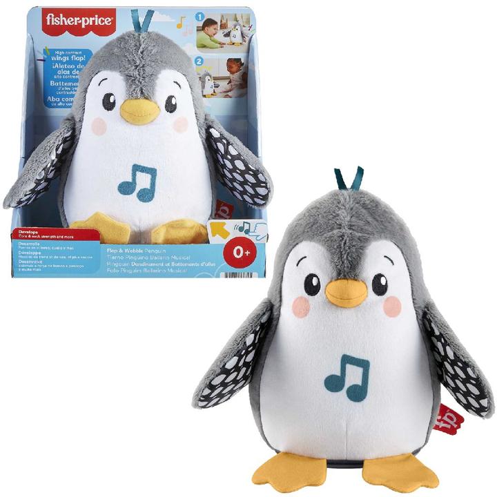 Actual product image Fisher-Price Flatter & Wackel (20.32 cm)
