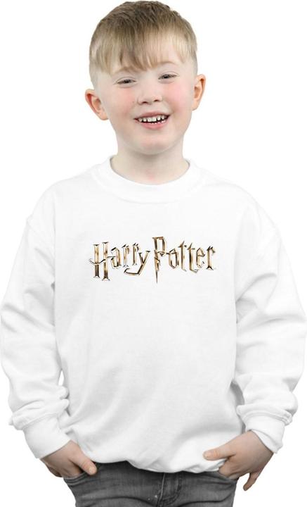 Actual product image Boys Full Colour Logo Sweatshirt (128)