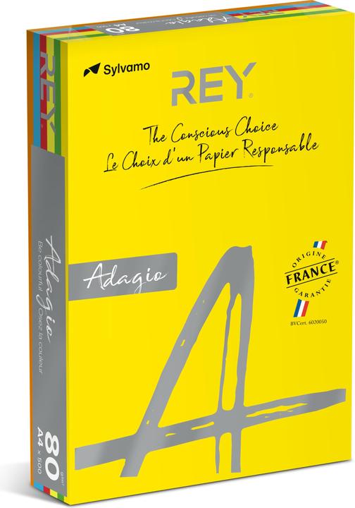 Produktbild Rey Farbiges Papier RYADA080X911 Farbig Sortiert 80 g/qm (80 g/m², 500 x, A4)