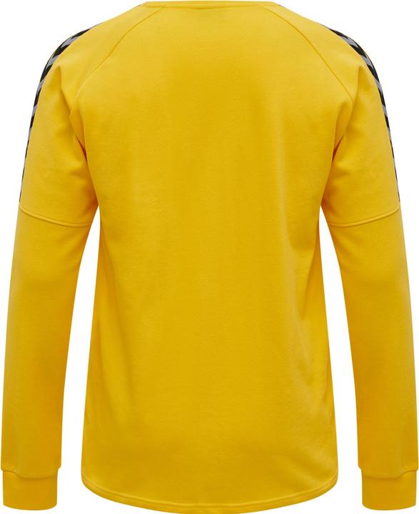 Image du produit hummel Sweat D'Entraînement Authentique (XXL)