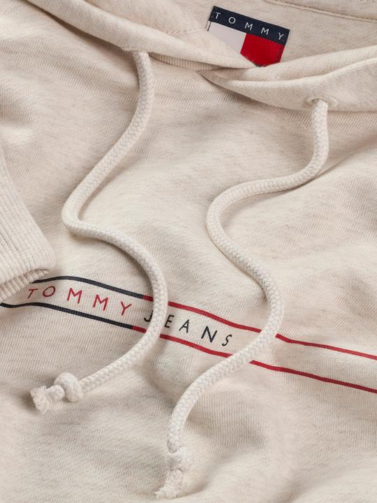 Produktbild Tommy Jeans Tjm Reg Entry Graphic Hoodie Ext (3XL)