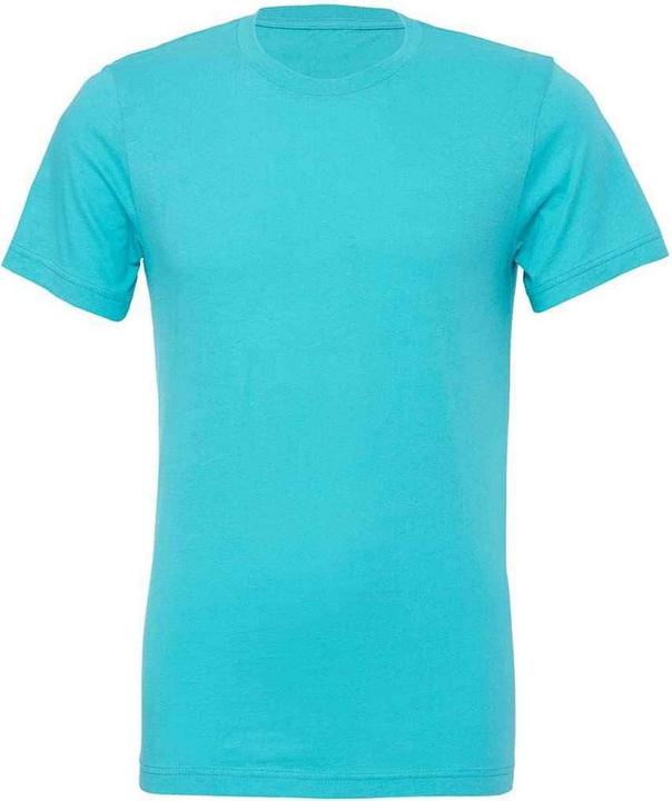 Actual product image Bella Canvas Adults Unisex Crew Neck T-Shirt (L)