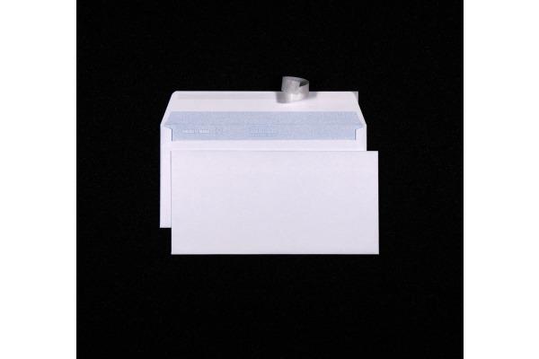 Actual product image Mettler Office Pourtoi Plus (C5/6, 500 x)