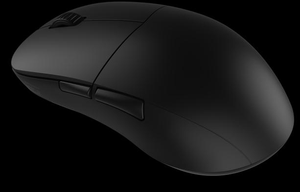 Actual product image Endgame Gear XM2w 4K (Wireless, Cable)