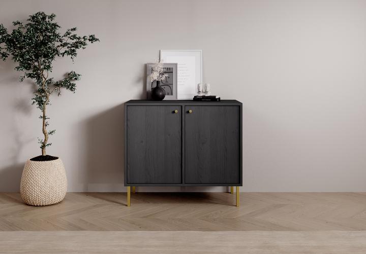 Actual product image ADRK Furniture Tili 2D chest of drawers (83.5 x 41 x 74 cm)
