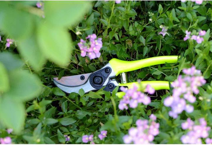 Immagine prodotto Burgon & Ball Cesoie da giardino FloraBrite