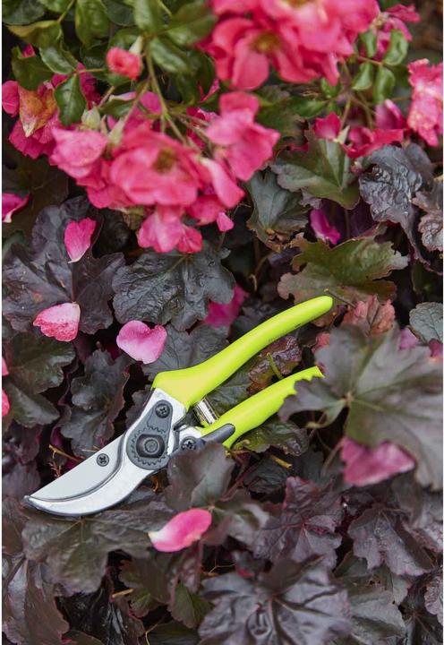 Immagine prodotto Burgon & Ball Cesoie da giardino FloraBrite
