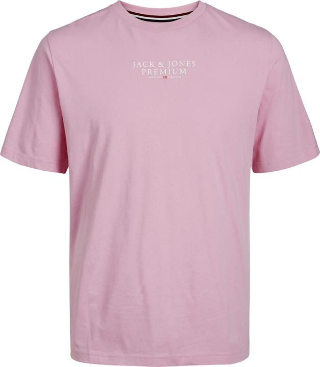 Jack & Jones Jprbluarchie Ss Tee Crew Neck Noos