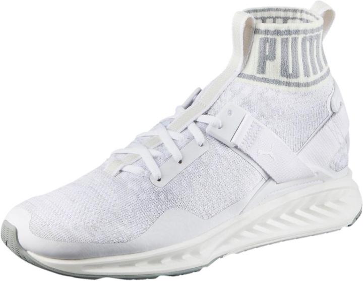 Puma Ignite EvoKNIT (42)