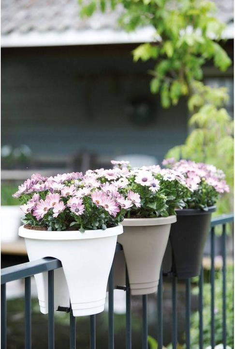 Produktbild Elho Corsica (30 cm)