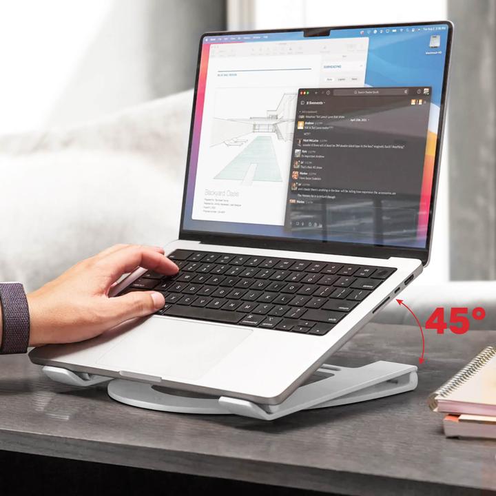 Actual product image TwelveSouth Curve Flex