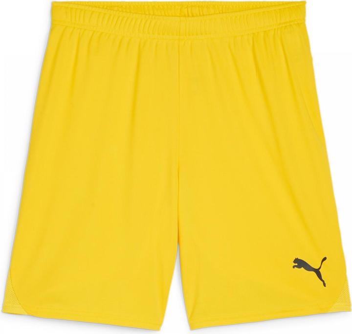 Actual product image Puma teamGOAL shorts (3XL)
