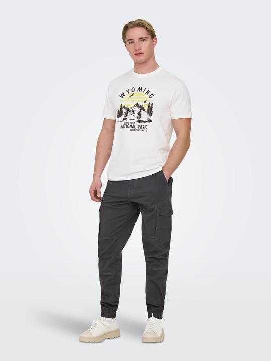 Produktbild Only & Sons Onscarter Life Cargo Cuff 0013 Pant Noos (W34/L32)