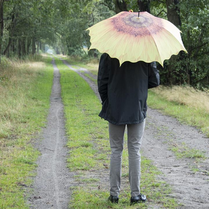 Actual product image Esschert Design Umbrella flower assorted