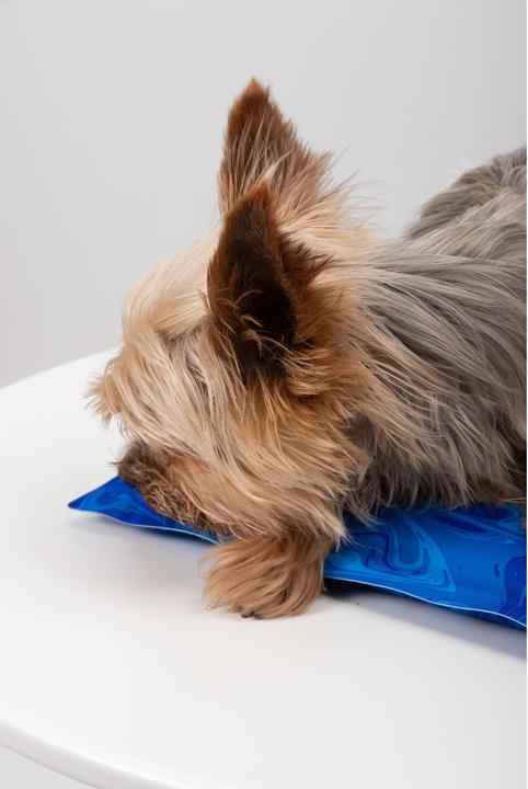 Produktbild Trend Pet Kühlmatte Arctic Comfort 50 x 35 cm (Hund)