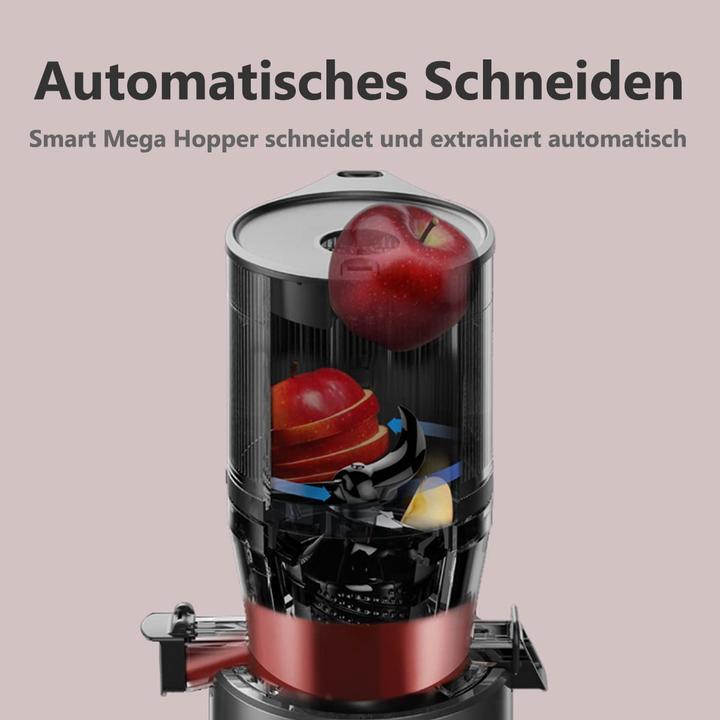 Produktbild Hurom Slow Juicer H320N