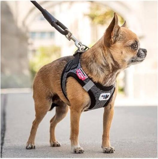 Produktbild Curli Stretch Comfort Leine (L, Hund, Hundesport)