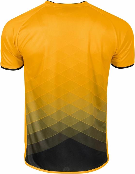 Actual product image Stanno Altius Jersey (140)