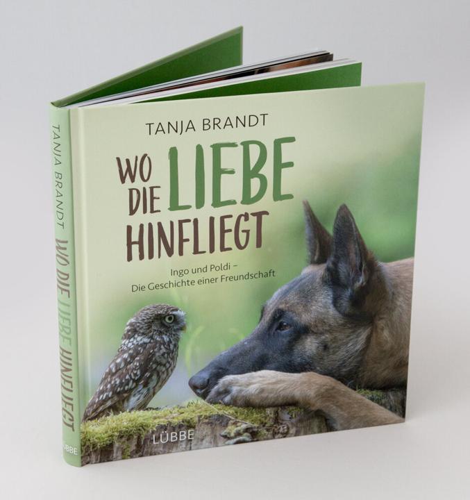 Produktbild Wo die Liebe hinfliegt (Deutsch, Tanja Brandt, 2016)