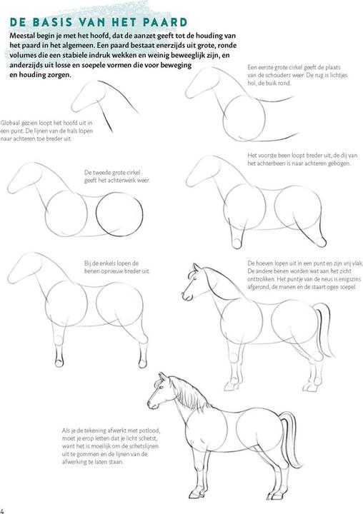 Actual product image Learn to draw horses step by step