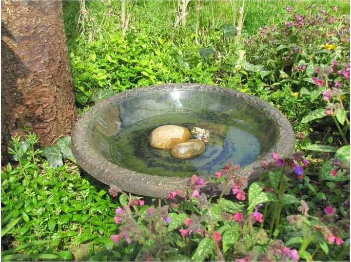 Actual product image Wildlife World Coniston bird bath 50 x 50 x 20.5 cm