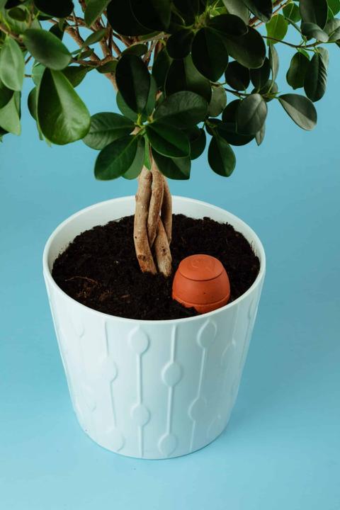 Image du produit WePot Olla S
