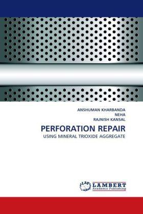 Produktbild Perforation Repair (Deutsch, Rajnish Kansal, Anshuman Kharbanda, Neha, 2011)
