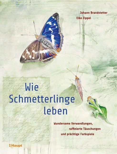 Actual product image Wie Schmetterlinge leben (German, Johann Brandstetter, Elke Zippel, 2019)