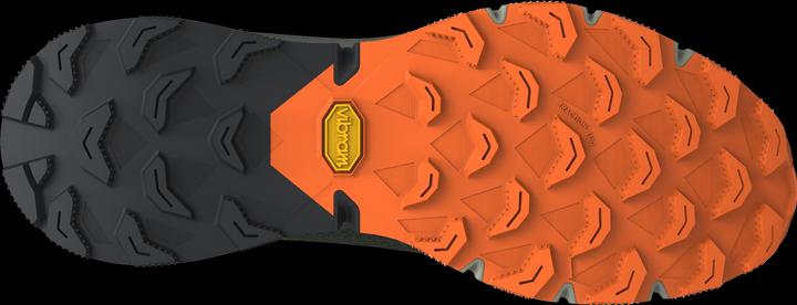 Actual product image Dynafit Ultra 100 running shoe (42.5)
