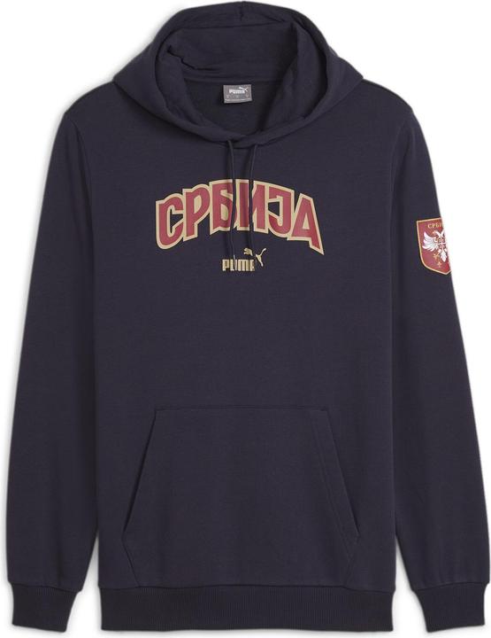 Puma FSS Ftblicons Hoody